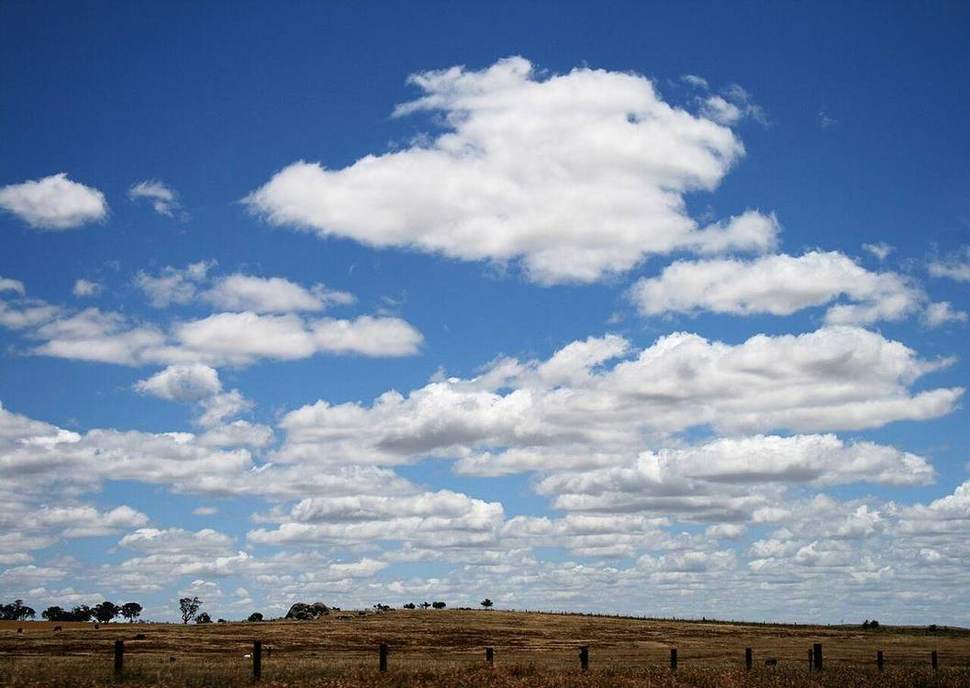 Cumulus over a heated coast: a thermal starting from land.