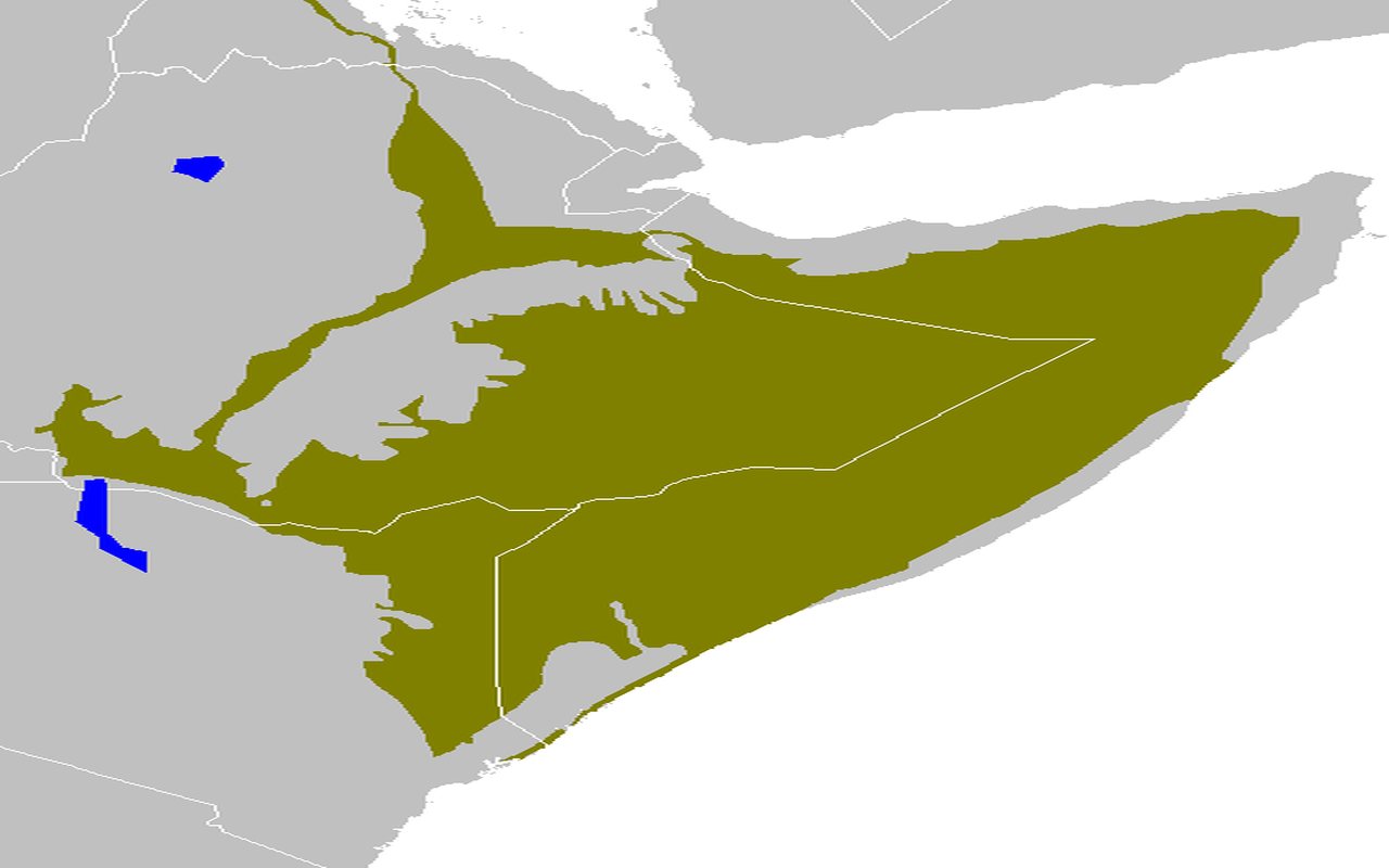 A savanna: climate as a plant formation.