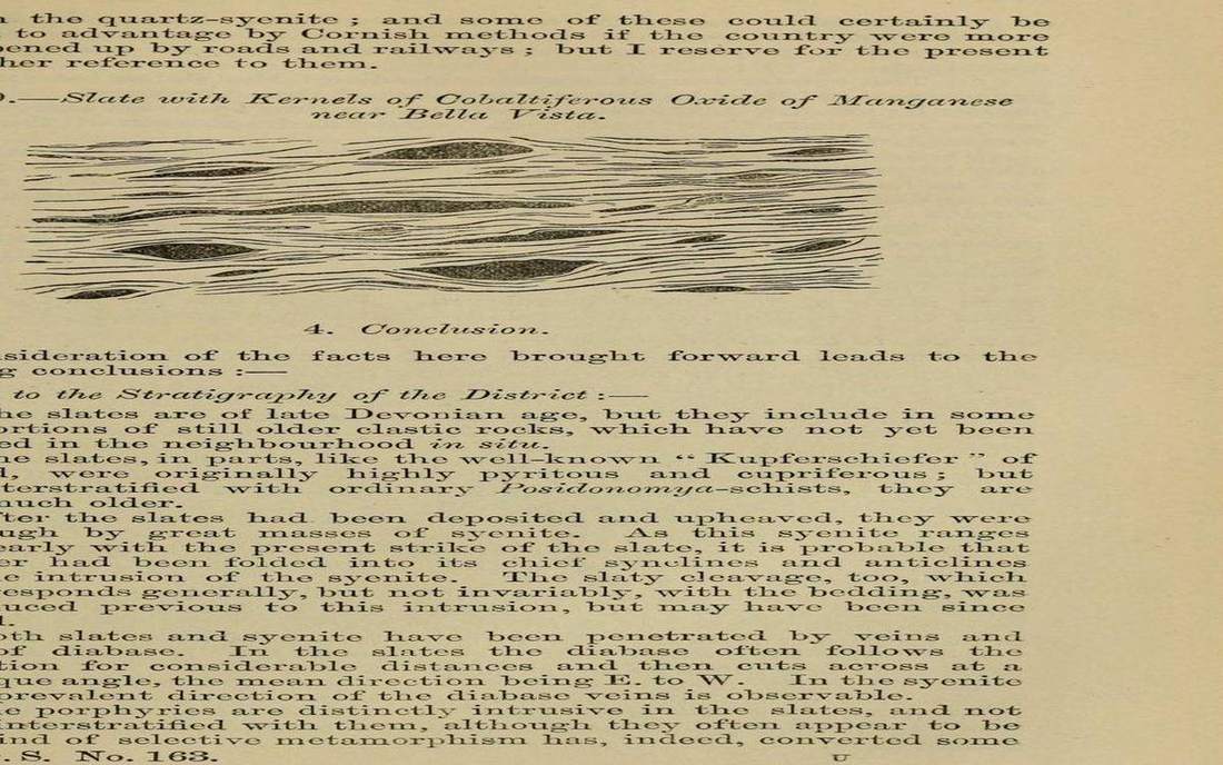 A road-cut fold you can read as beds.