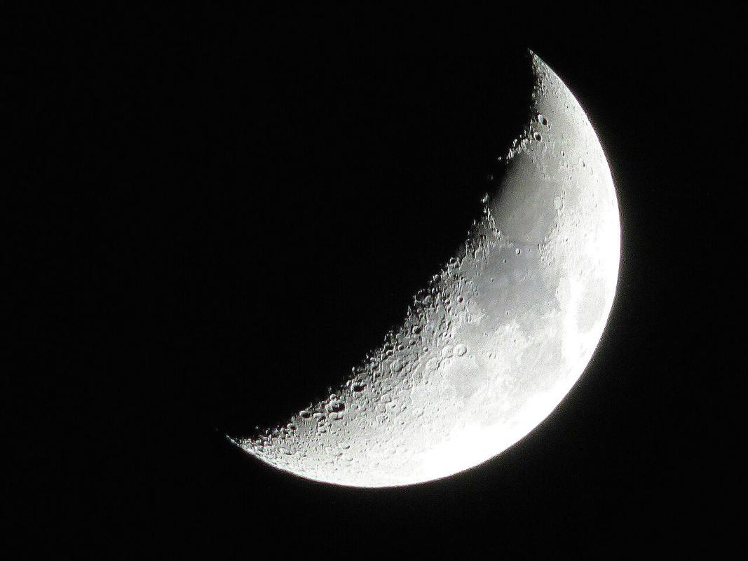 A crescent Moon — phase, not a bite taken out.