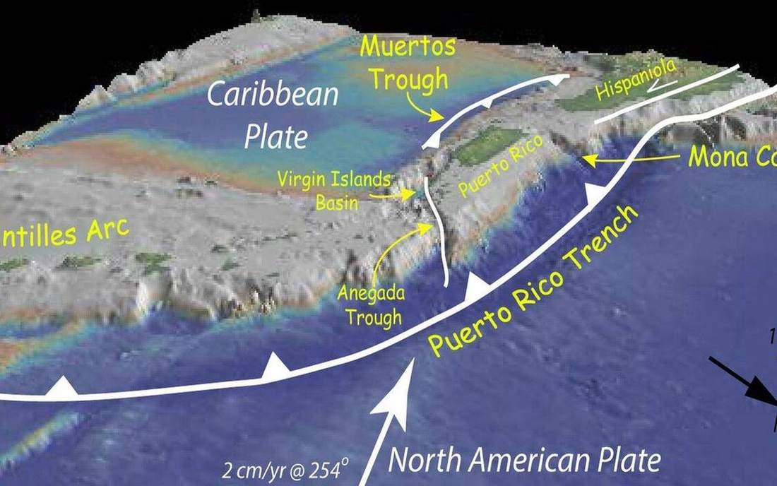 A trench or ridge — a plate edge you can name.