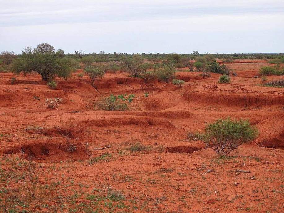 A gully cut into a soil slope.