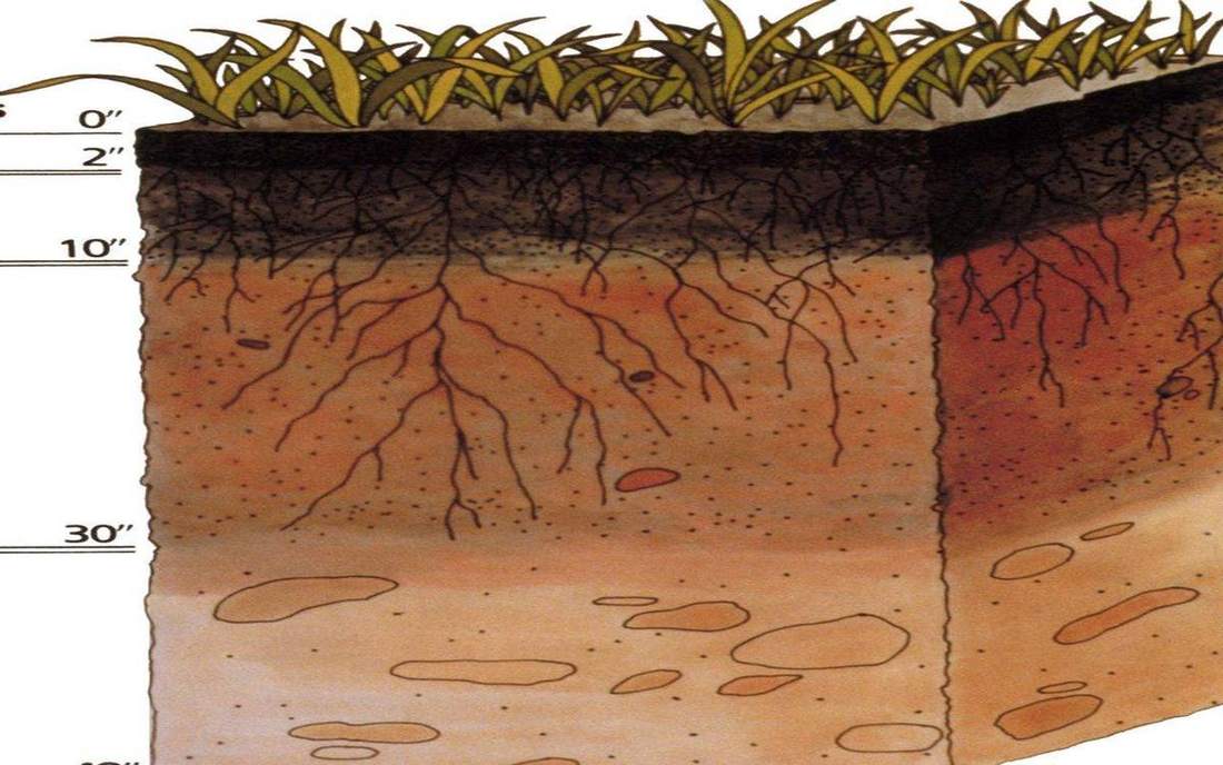 Mineral soil in the hand — texture, not colour class.