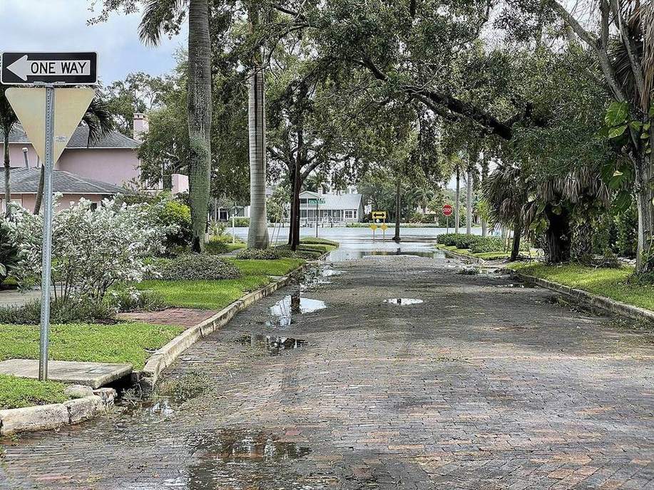 Surge flooding on a low coast.