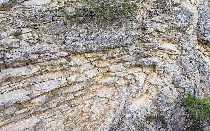 Anticline: a matching field photograph or official scientific figure.