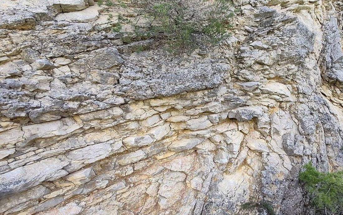 Field photograph or official scientific figure for teaching folds faults.