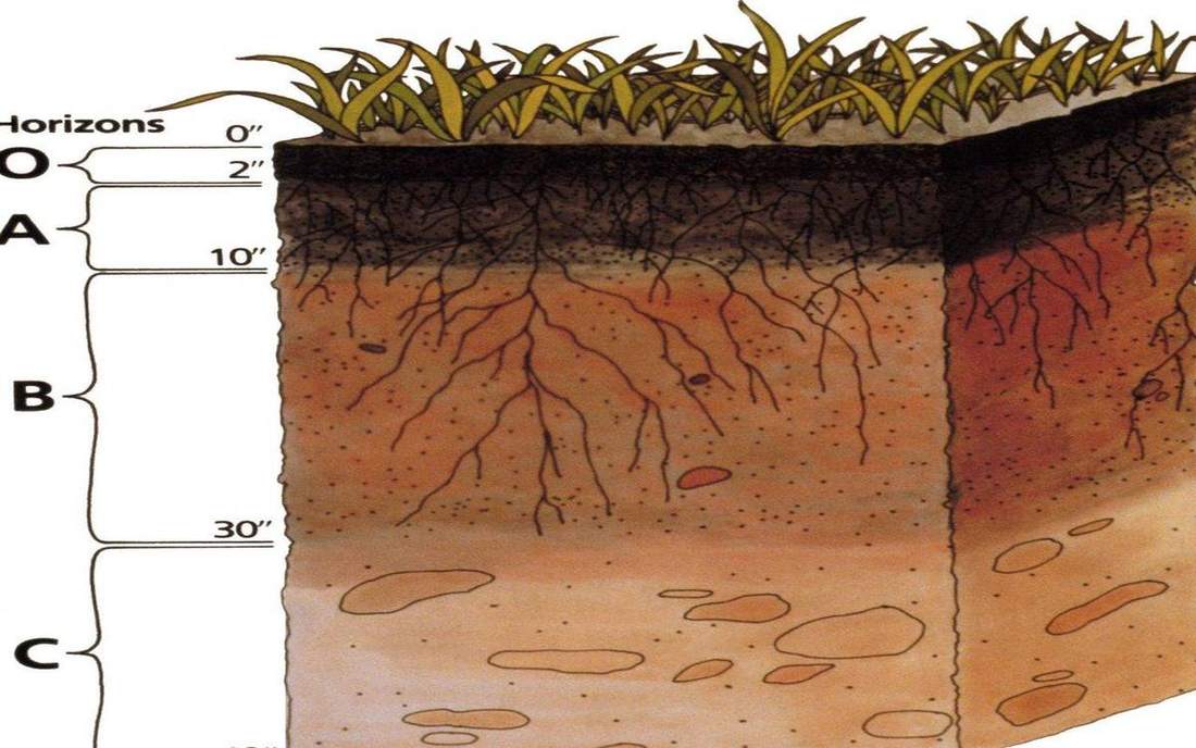 Field photograph or official scientific figure for teaching soil catena.