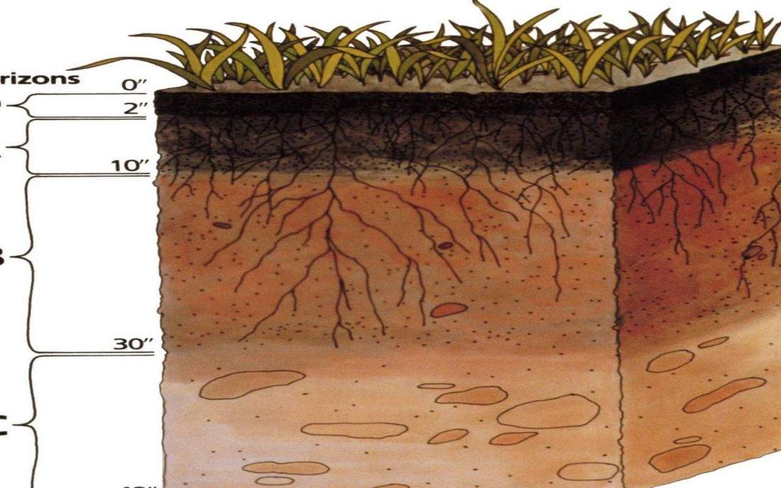 Field photograph or official scientific figure for teaching soil profile.