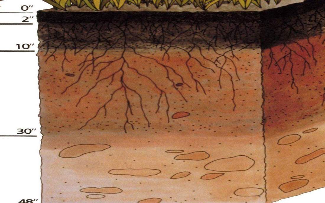Field photograph or official scientific figure for teaching soil texture.