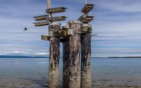 Longshore drift in the coasts lab — a TERMS crop, not the glossary plate and not the lab cover.
