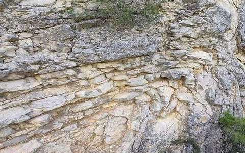 Anticline in the folds-faults lab — a TERMS crop, not the glossary plate and not the lab cover.