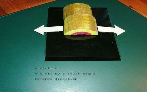 Reverse fault in the folds-faults lab — a TERMS crop, not the glossary plate and not the lab cover.