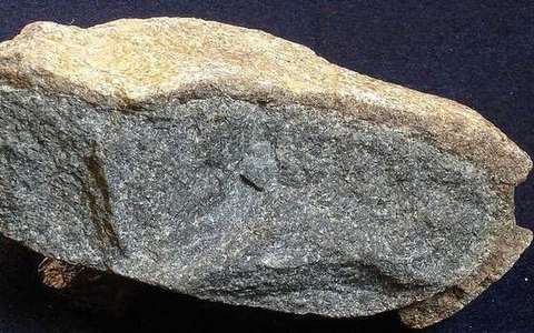 pangaea in the geologic-time lab — a TERMS crop, not the glossary plate and not the lab cover.