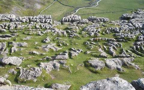 limestone pavement in the karst lab — a TERMS crop, not the glossary plate and not the lab cover.