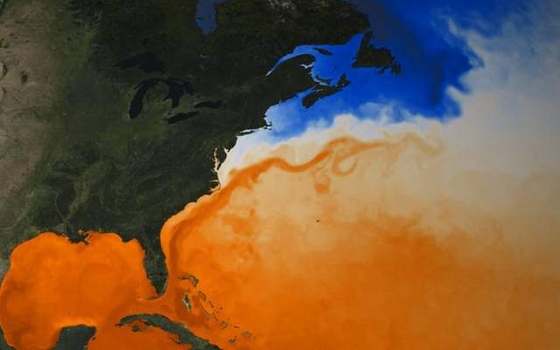 surface current in the ocean-currents lab — a TERMS crop, not the glossary plate and not the lab cover.