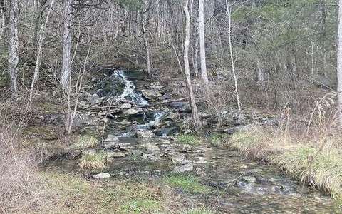 beheaded stream in the river-capture lab — a TERMS crop, not the glossary plate and not the lab cover.