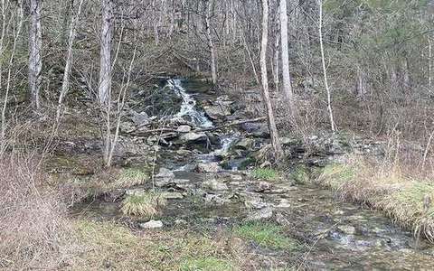 headward erosion in the river-capture lab — a TERMS crop, not the glossary plate and not the lab cover.