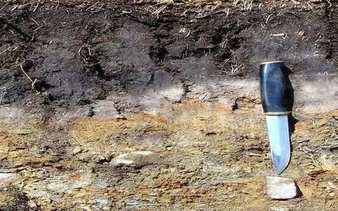 A horizon in the soil-erosion lab — a TERMS crop, not the glossary plate and not the lab cover.