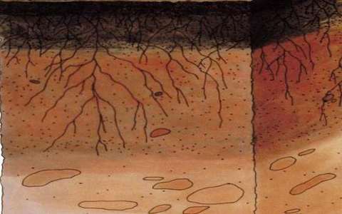 rain splash in the soil-erosion lab — a TERMS crop, not the glossary plate and not the lab cover.