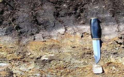 A horizon in the soil-profile lab — a TERMS crop, not the glossary plate and not the lab cover.