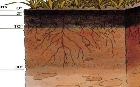 horizon in the soil-profile lab — a TERMS crop, not the glossary plate and not the lab cover.