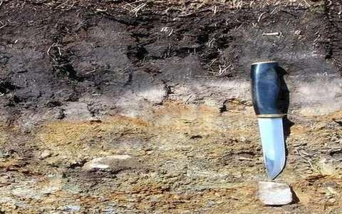 o horizon in the soil-profile lab — a TERMS crop, not the glossary plate and not the lab cover.