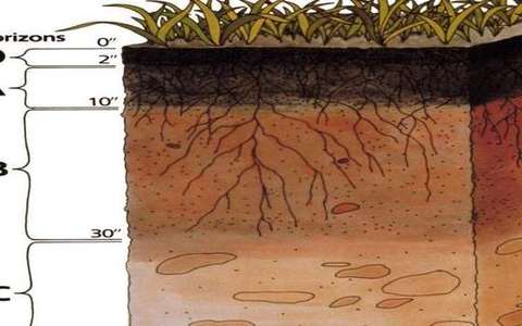 oxisol in the soil-profile lab — a TERMS crop, not the glossary plate and not the lab cover.