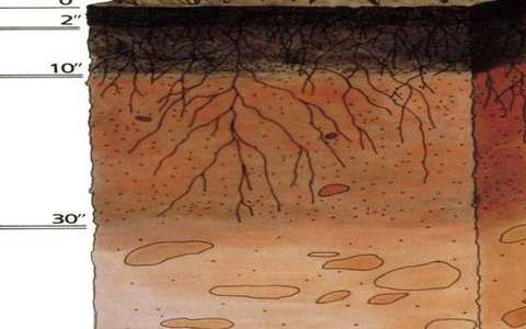 texture in the soil-texture lab — a TERMS crop, not the glossary plate and not the lab cover.