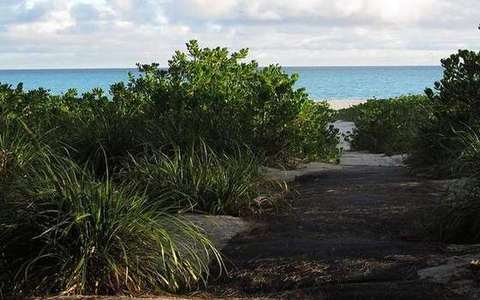 Trade winds in the three-cell lab — a TERMS crop, not the glossary plate and not the lab cover.